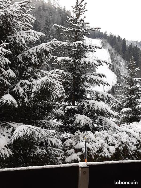 Appartement A La Bresse Hohneck Exterior foto